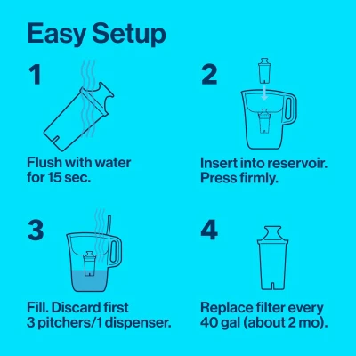 Water Filter Pitcher + Filter, 10 Cup Capacity