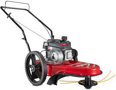 String Trimmer Lawn Mower, 163cc B&S Engine, 22 In. Deck