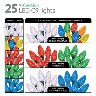 Multi-function Christmas Led Color Sync C9 String Light Set, White/rgb, 25 Lights