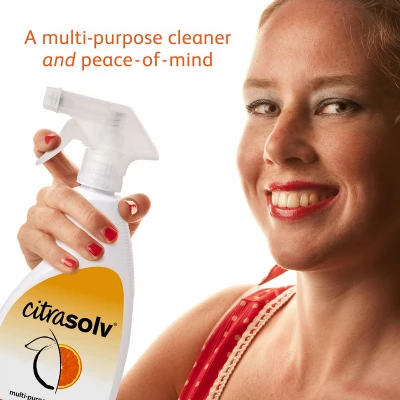 Multi-Purpose Cleaner, 22 oz. Spray