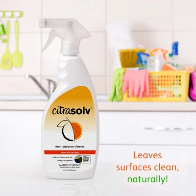Multi-Purpose Cleaner, 22 oz. Spray