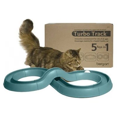 5-in-1 Cat Toy - Customizable Track With Ball Included
