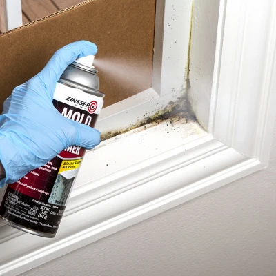 Mold Blocking Primer Spray, Flat White, 13 oz. Aerosol