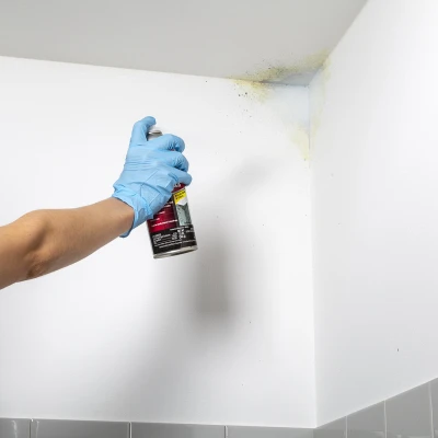Mold Blocking Primer Spray, Flat White, 13 oz. Aerosol