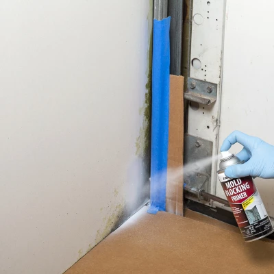 Mold Blocking Primer Spray, Flat White, 13 oz. Aerosol
