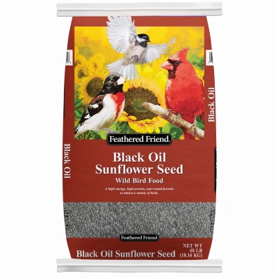 Black Oil Sunflower Seed Wild Bird Food, 40 Lb. Bag