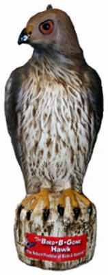 Hawk Decoy, Heavy Duty Plastic