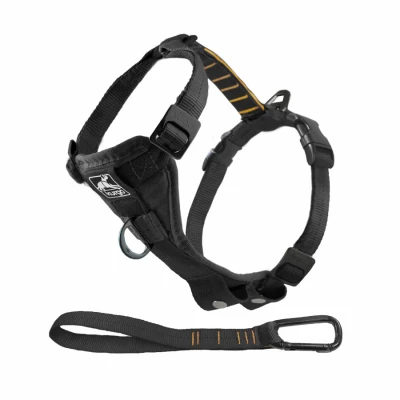 Safety Dog Harness w/ Seatbelt Tether, Black, 25-50 Lb. Dogs, M