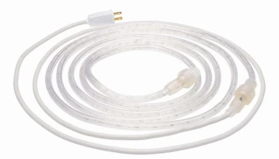 LED Outdoor Rope Light, White, 24 Ft.