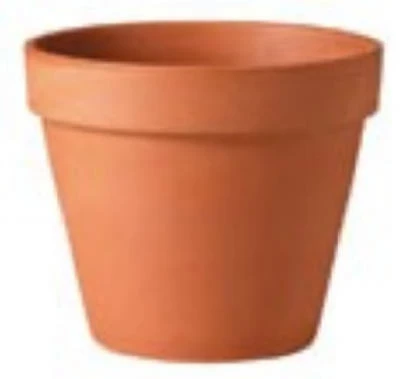 Terra Cotta Clay Flower Pot, Standard, 8-In.