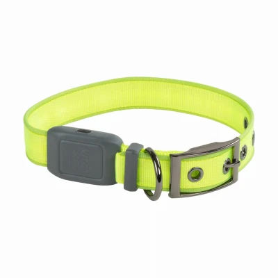 NiteDog Rechargeable Lighted Dog Collar with Green LEDs for Medium Dogs