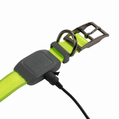 NiteDog Rechargeable Lighted Dog Collar with Green LEDs for Medium Dogs