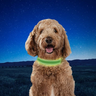 NiteDog Rechargeable Lighted Dog Collar with Green LEDs for Medium Dogs