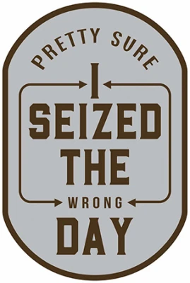 Metal Sign,  I Seized the Wrong Day , 10 x 14 In.