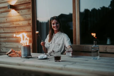 Mesa Stainless Steel Tabletop Fire Pit Portable Outdoor Heater