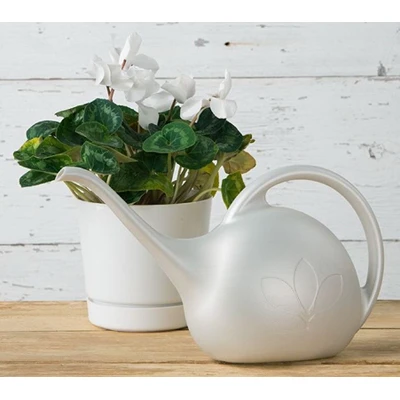 Indoor Watering Can, Pearlescent White, 1/2-Gallon