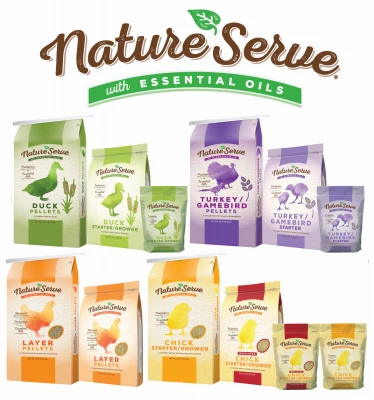 Medicated Chick Starter Grower Feed with Essential Oils 20 Pounds