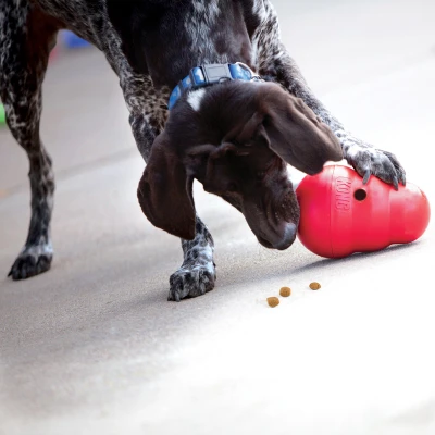 Wobbler Small Dog Toy Interactive Treat Dispenser for Small Dogs