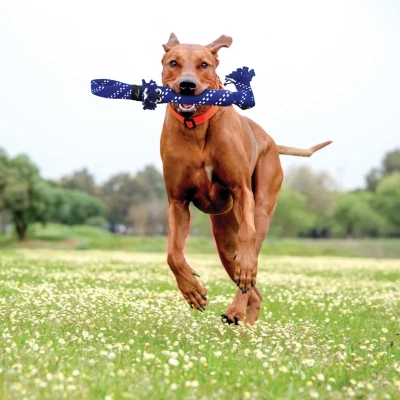 Scrubz Small Dog Toy Assorted Colors Durable Chew Toy for Small Dogs