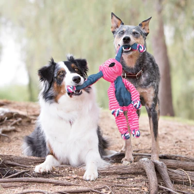 Floppy Knots Dog Toy for Medium and Large Dogs