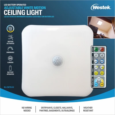 LED Dual-Activated Ceiling Light, Motion or Remote On/Off, Battery Operated