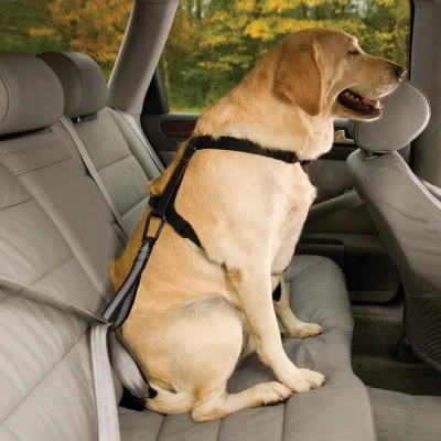 Dog Seat Belt Safety Tether with Heavy Duty Carabiner for Vehicle Restraint