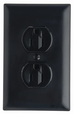 Pass & Seymour Standard Duplex Outlet, 2-Pole, 15A, Black