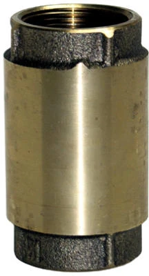 WATER SOURCE Check Valve, Brass, 2-In.