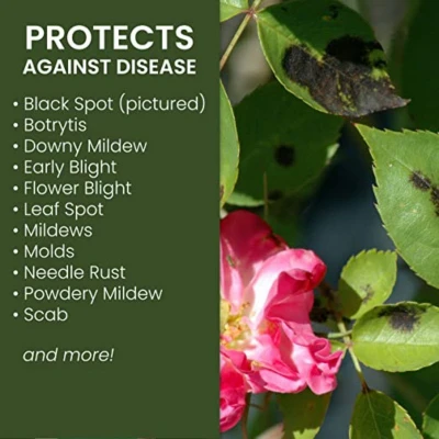 Neem Oil Insect Repellent Concentrate for Plants, 24 Ounce Bottle