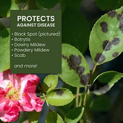 Neem Oil Insect Repellent for Plants, 24 Ounce Ready-To-Use Spray