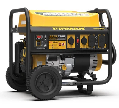 Gas Portable Generator, Recoil Start, 30 Amps, 120/240-Volt, 8375/6700-Watts