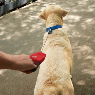 RadDog Retractable Pocket Leash, Large Dogs