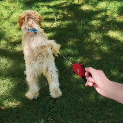 RadDog Retractable Pocket Leash, Small Dogs