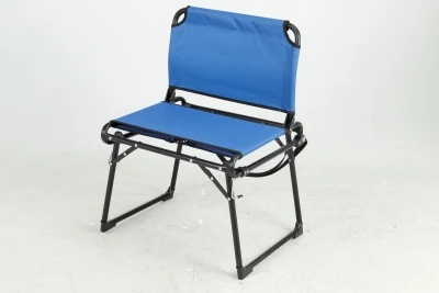 2-In-1 Stadium Seat, Navy
