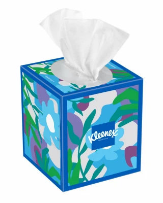 Facial Tissue, 2-Ply, Assorted Colors, 70-Ct.