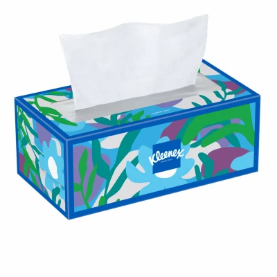 Facial Tissue, 2-Ply, White, 160-Ct.