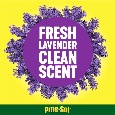 Multi-Surface Cleaner, Lavender Clean Scent, 14 oz.