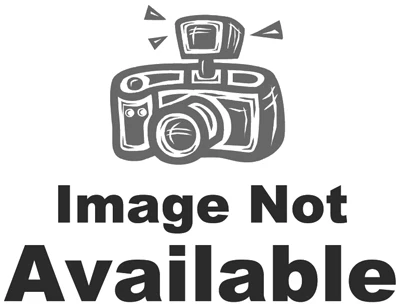 Paint Roller Frame, 9 In.
