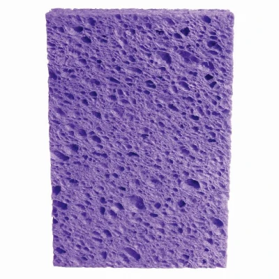 Ocelo Large Sponge