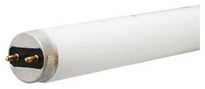 Ecolux T8 Linear Fluorescent Bulb, 4 Foot, 3100 Lumens, 32 Watt
