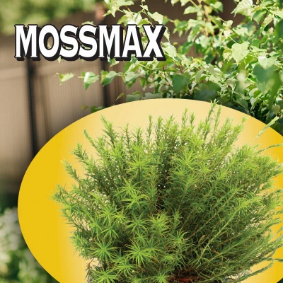 Mossmax Moss Control Granules, 6 Pounds, Lawn and Roof Treatment