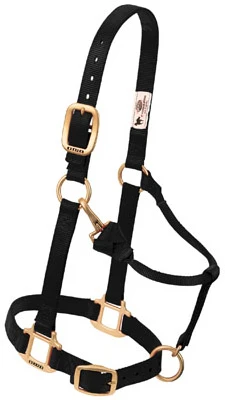 Adjustable Chin & Throat Snap Halter, 1 In., Black, Average Horse Size