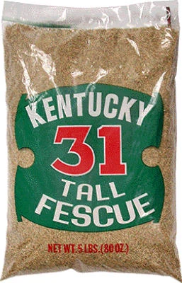 Kentucky 31 Tall Fescue Grass Seed, 5 Lbs., Covers 625 Sq. Ft.