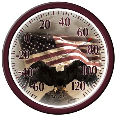 Bald Eagle Outdoor Thermometer, 13-In.