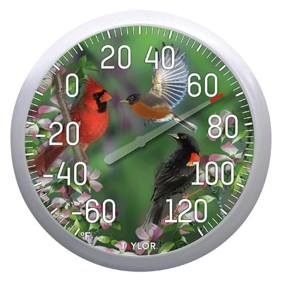 Birds Outdoor Thermometer, 13-In.