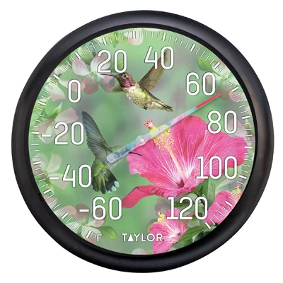 Hummingbirds Outdoor Thermometer, 13-In.