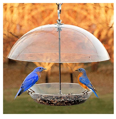 11.75 Inch Dome Top Seed & Bluebird Feeder With Adjustable Dome And Large Tray