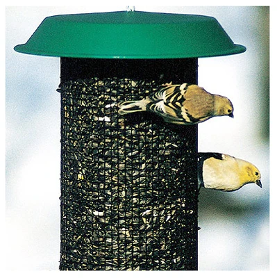 Oil Sunflower Magnum Bird Feeder, 3 Pounds Capacity