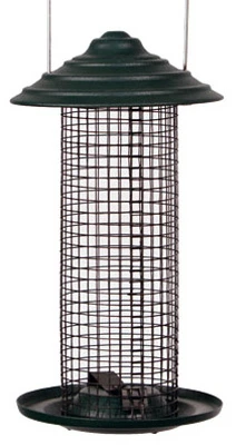 Black Oil Sunflower Magnum Bird Feeder, 0.75 Pound Capacity