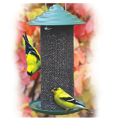 Nyjer Thistle Magnum Bird Feeder with 3/4 Pound Capacity for Small Seed